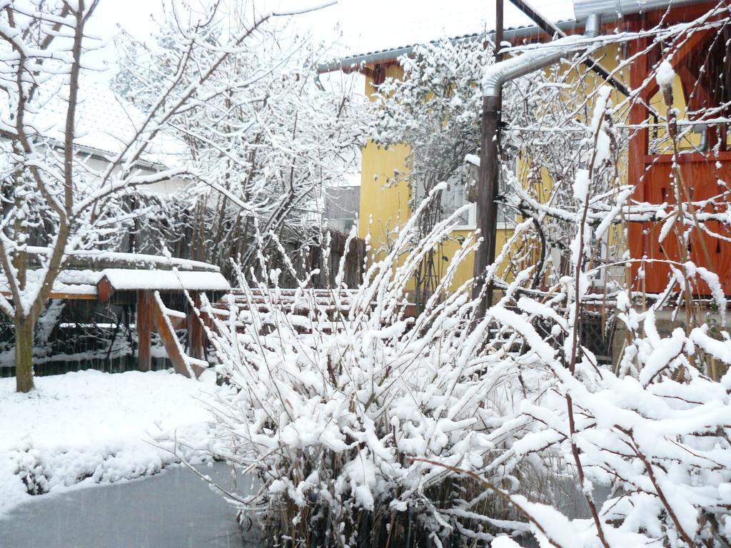 Hotel Angela Vendeghaz Tokaj Exteriér fotografie