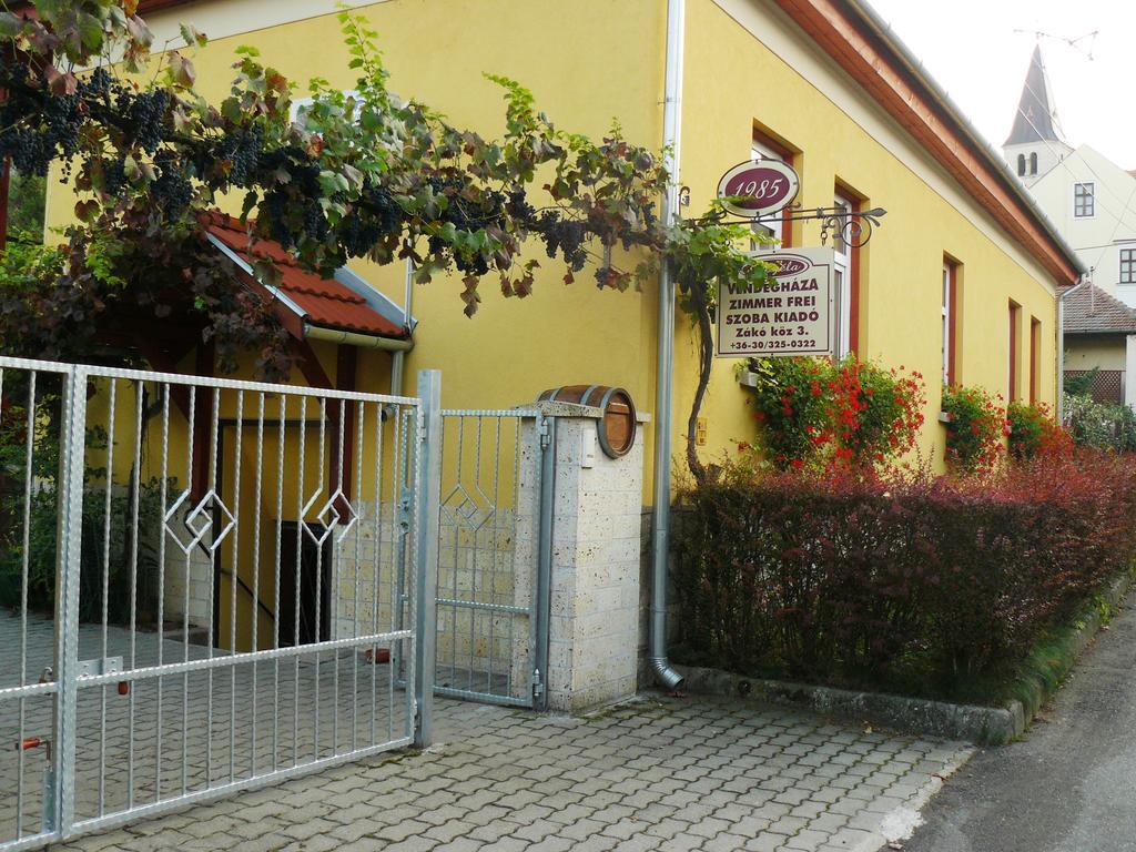 Hotel Angela Vendeghaz Tokaj Exteriér fotografie